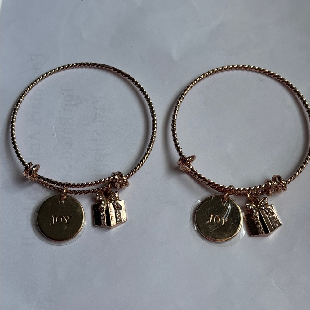 🔴Two NWT Mary Kay Stunning Rose Gold Tone Charm Bracelets